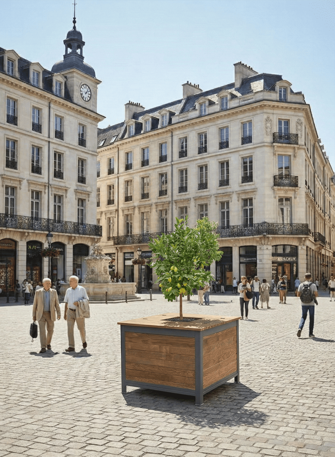 Arboricomposteur sur une place d'un centre vile