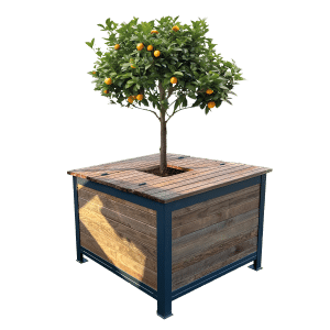 arboribac site miseenavant