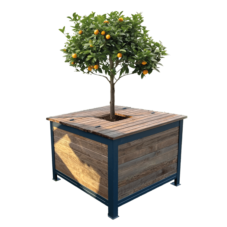 arboribac site miseenavant