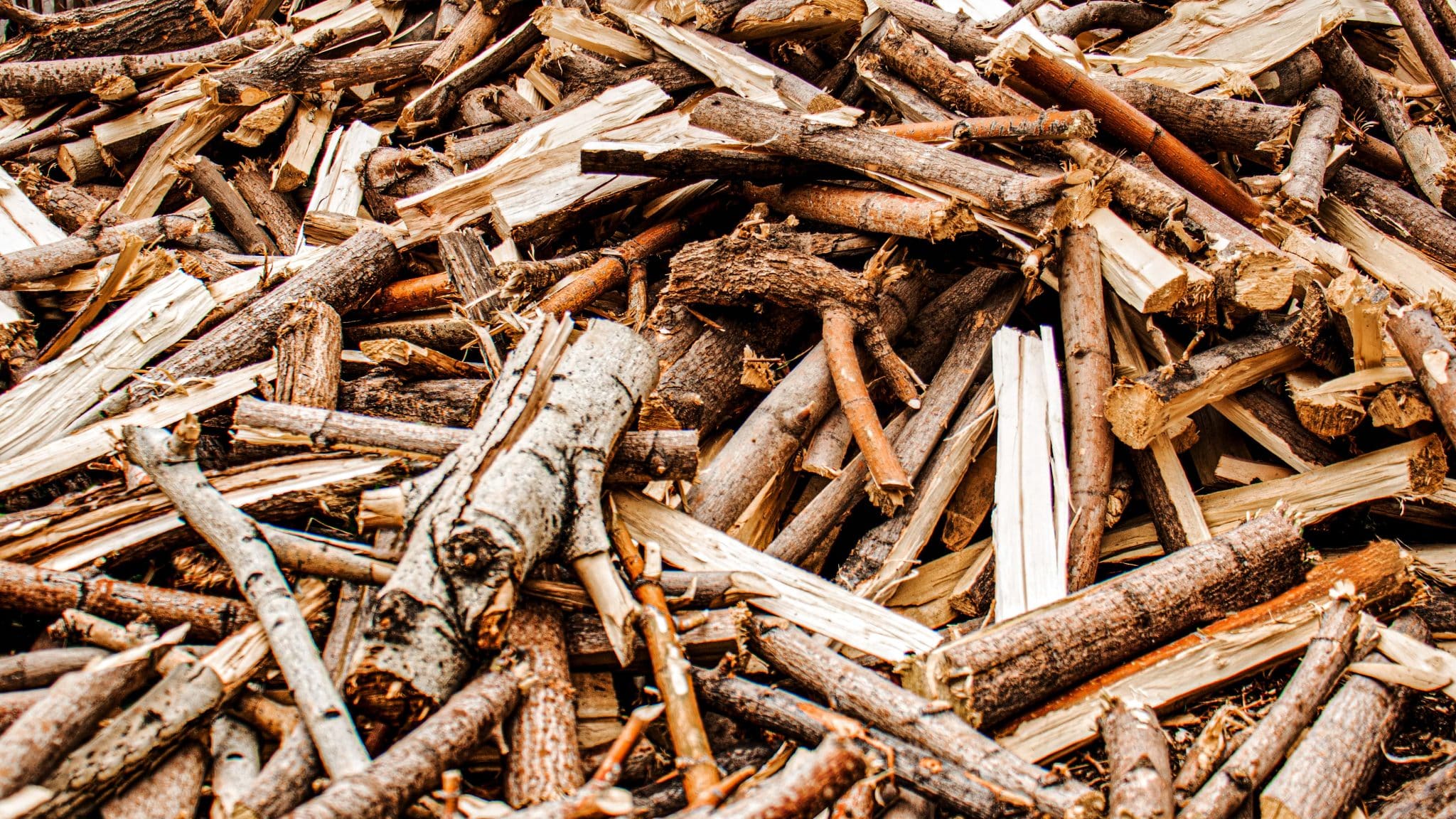 Composteur en bois : Guide d'achat et d'utilisation