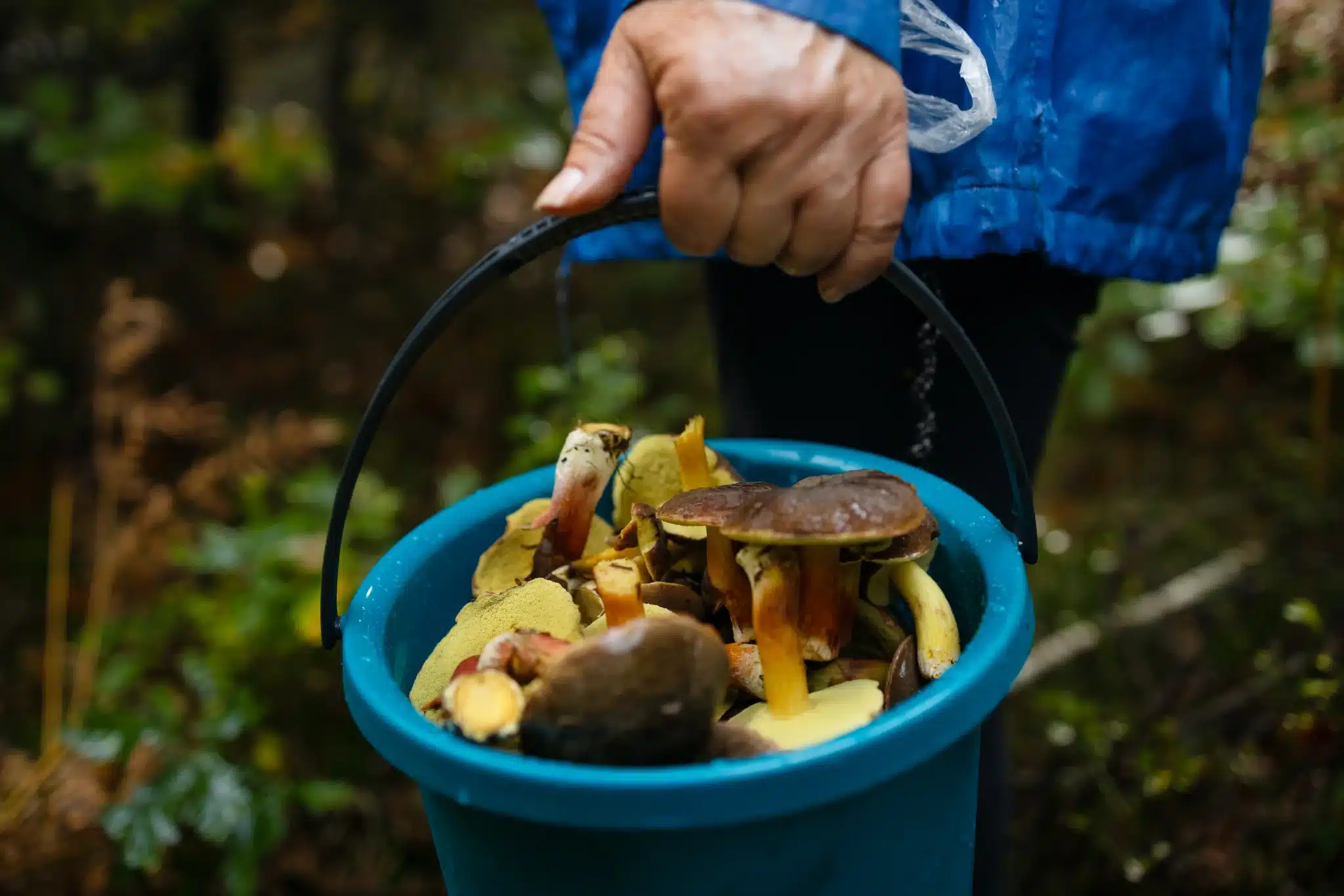 Bonnes pratiques de compostage avec un bioseau pour les déchets verts