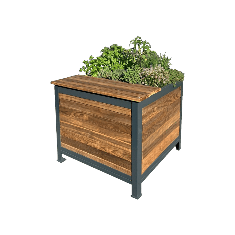 floribac compact détouré