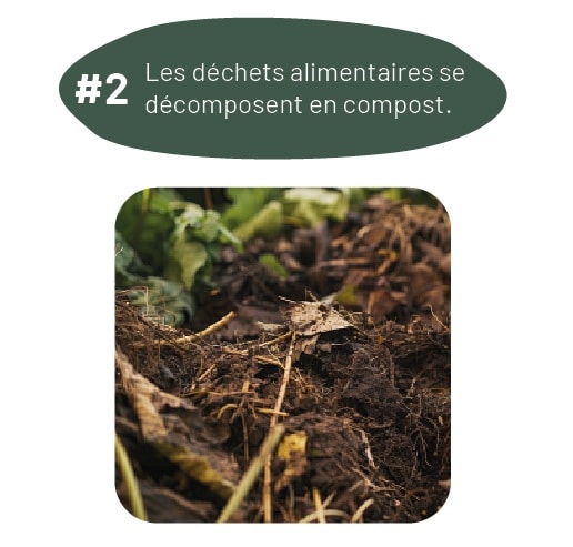 Étape 2